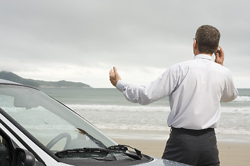 Image showing Businessman talking on cell phone beside his car