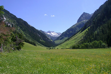 Image showing Meadows in Austria