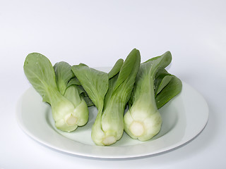 Image showing Pak Choi