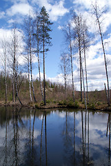 Image showing Reflections on Forest Lake 