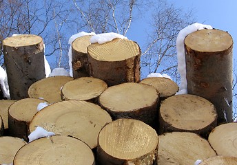 Image showing Logs in the sky