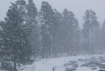 Image showing snow storm