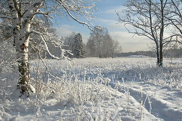 Image showing Winter landscape