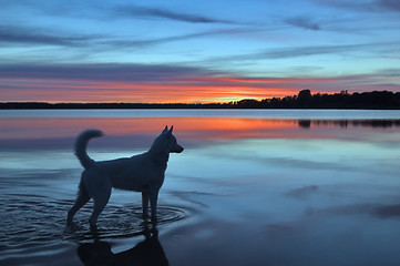 Image showing Sunset on lake