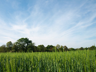 Image showing Scenic countryside scene