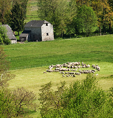 Image showing Countryside scene