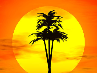 Image showing Sunset and concunut tree