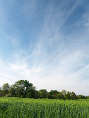 Image showing Scenic countryside scene