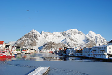 Image showing Henningsvær havn