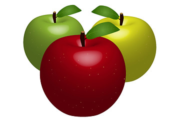 Image showing Apples Illustration