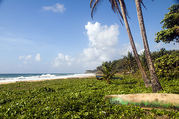 Image showing Long Bay Corn Island Nicaragua undeveloped beach