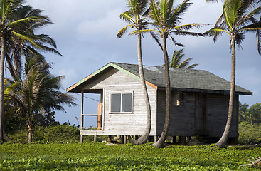 Image showing cabana house with palm trees nicaragua
