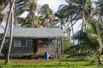 Image showing cabana house with palm trees nicaragua