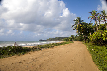 Image showing Long Bay Corn Island Nicaragua undeveloped beach