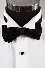 Image showing bow-tie