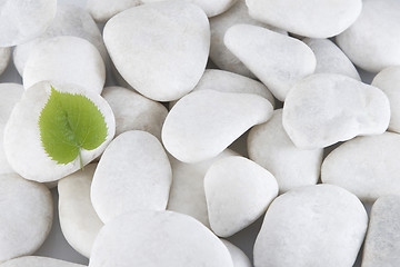 Image showing white stones and green leaf