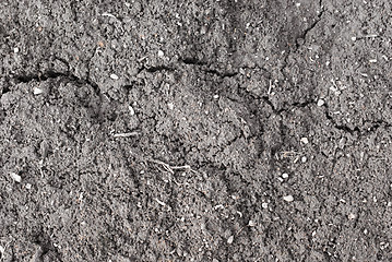 Image showing soil background