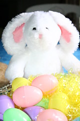 Image showing Easter Bunny