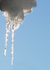 Image showing Icicle