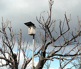 Image showing Bird house