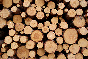 Image showing Pine Logs Background