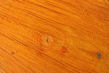 Image showing Aspen Log Growth Rings