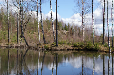 Image showing Forest Lake in Springtime