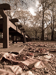 Image showing Fall in a park