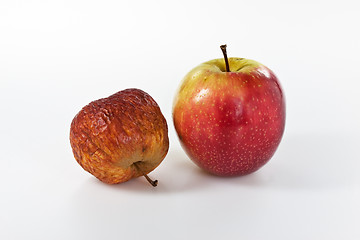 Image showing Apples in different stages of ageing