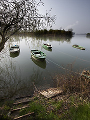 Image showing Row Boats on the Old Rhine