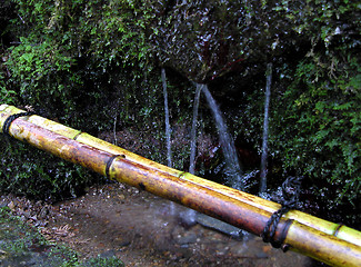 Image showing Fountain In The Forest