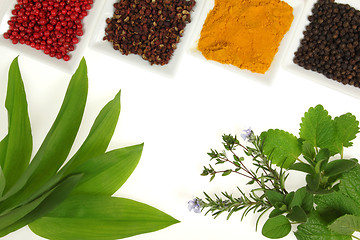 Image showing Herbs and spices