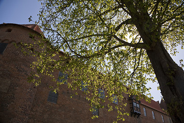 Image showing Nyborg Castle at springtime