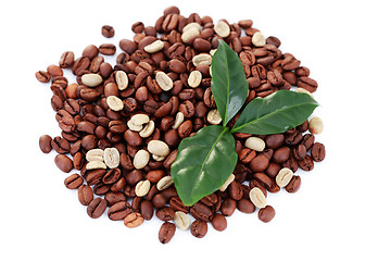 Image showing green and brown coffee beans