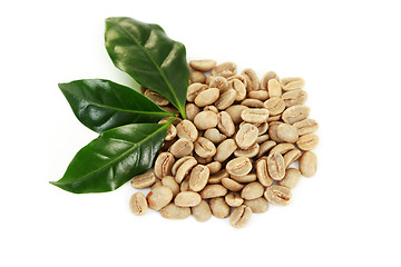 Image showing green coffee beans