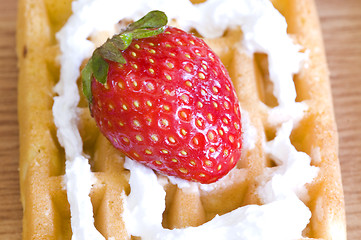Image showing closeup berry waffle
