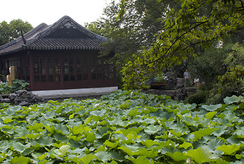 Image showing Chinese Garden