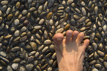 Image showing Walk on the cobblestone