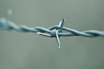 Image showing Barbwire