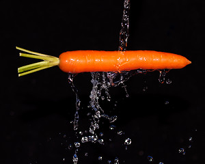 Image showing Carrot with water splash on black