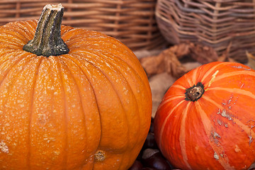 Image showing Two pumpkins with leaves and wodden basket