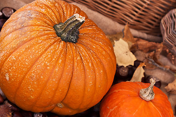 Image showing Two pumpkins with leaves and wodden basket
