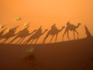 Image showing Shadow of caravan