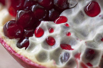 Image showing Pomegranate with arils detail shot