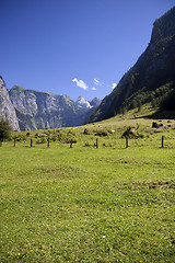 Image showing View from the Koenigssee towards the alps