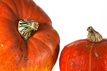 Image showing Two orange colored pumpkins on white