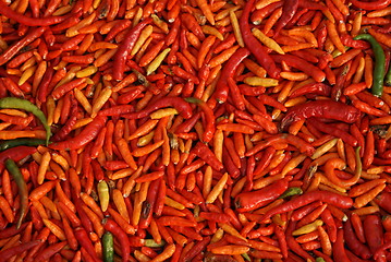 Image showing Red pepper