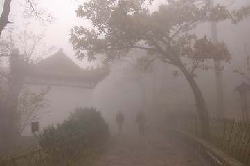 Image showing the moring mist