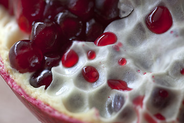 Image showing Pomegranate with arils detail shot