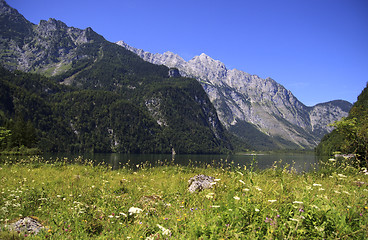 Image showing View from the Koenigssee towards the alps